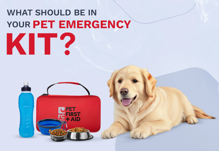Essential Items for Your Pet Emergency Kit